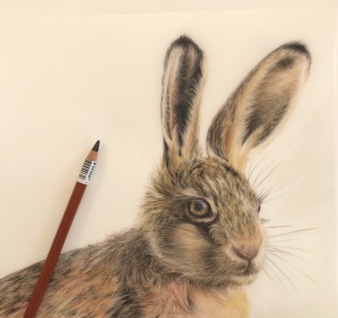 Susan Weaver artwork of rabbit